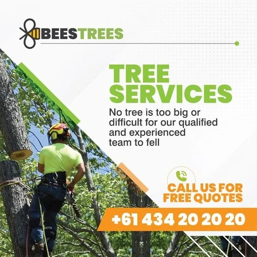 Tree Stump Grinding and Stump Removal near You