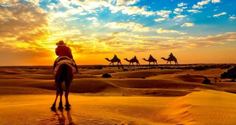 Experience the Magic of a Sunset Camel Ride in Essaouira: Top Things to Do