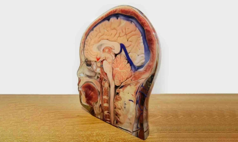 Polyjet 3D Printing Benefits & Solution_ The Complete Details