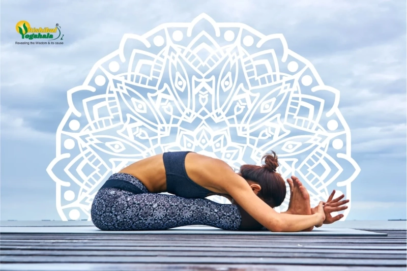 Paschimottanasana: A Complete Guide to the Seated Forward Bend Pose