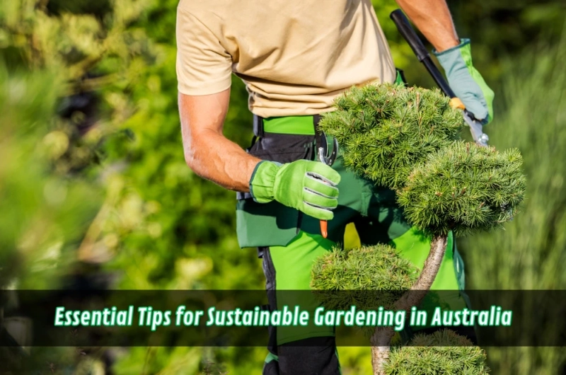 Essential Tips for Sustainable Gardening in Australia
