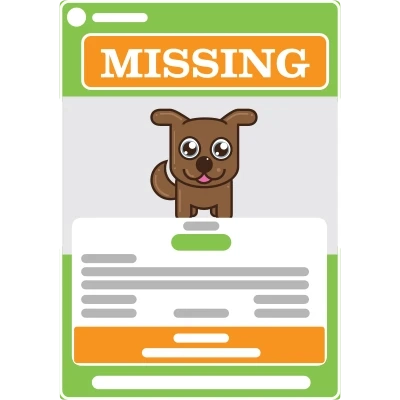 Steps to Take When You See a Lost Animal Poster