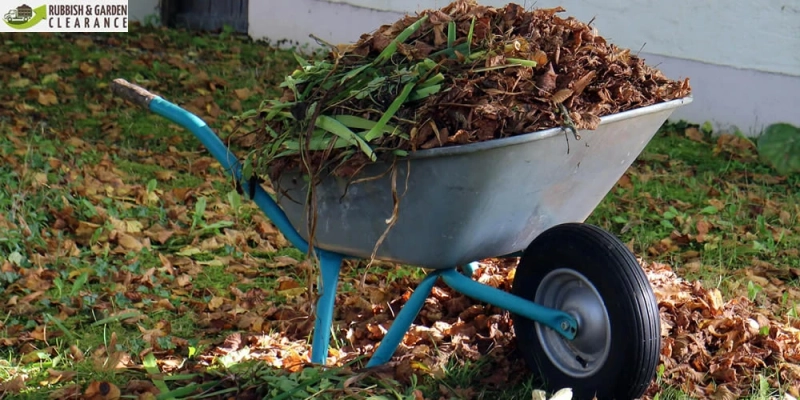 Professional Garden Clearance Merton A Service That You Need