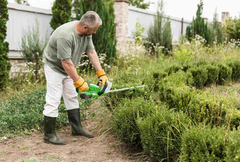 How A Local Landscape Company Can Boost Your Outdoor Curb Appeal