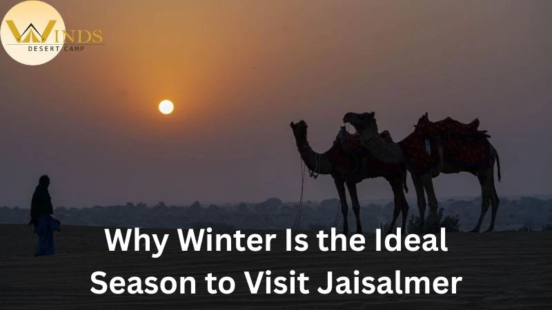 Why Winter Is the Ideal Season to Visit Jaisalmer