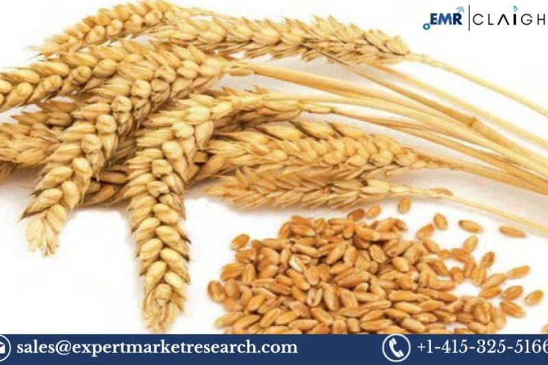 United States Wheat Protein Market Size, Share, Growth and Analysis 2024-2032