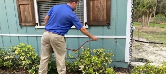Residential Pest Control: Do's And Don'ts For A Pest-Free Home