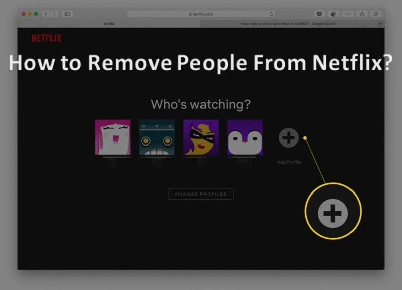 How to Remove People From Netflix?