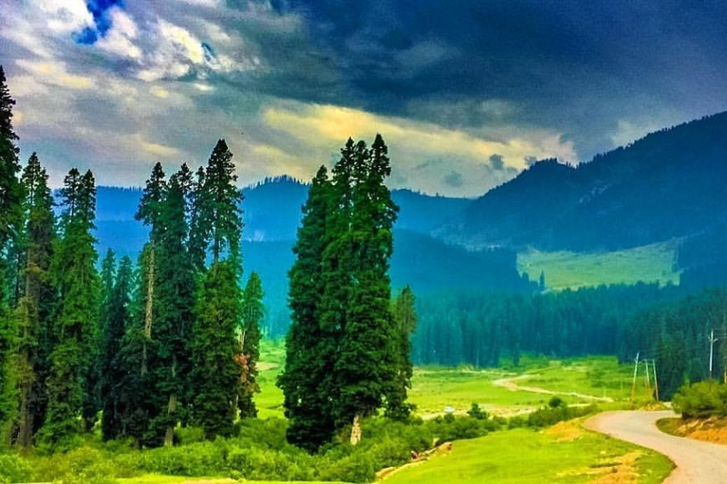 Kashmir with Sonmarg and Doodhpathri Excursion