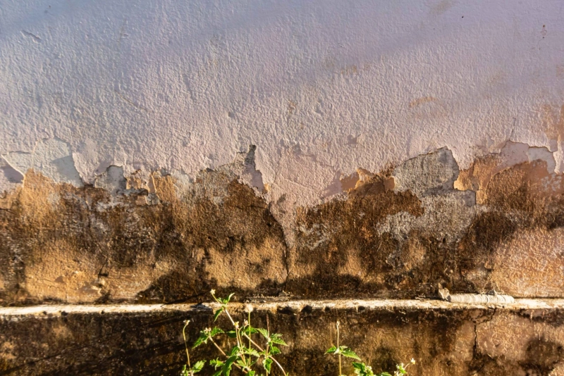 5 Hidden Moisture Problems That Grow in Winter