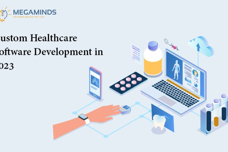 Custom Healthcare Software Development In 2023