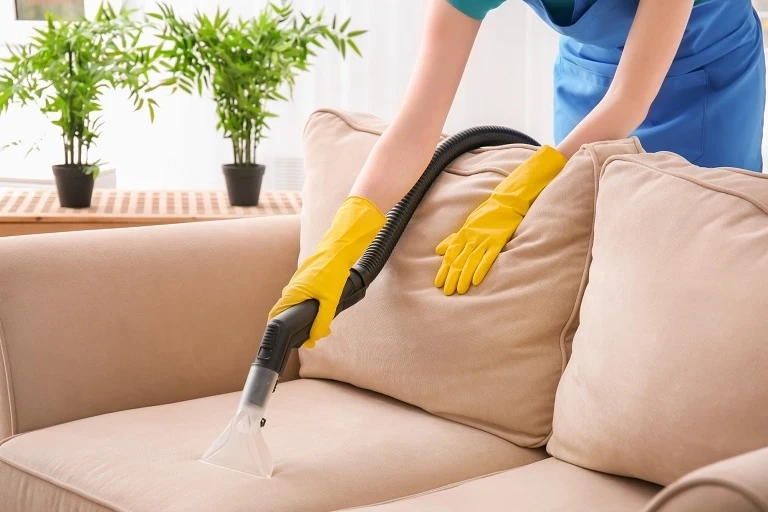 What Are The Top Benefits Of Sofa Cleaning Services?