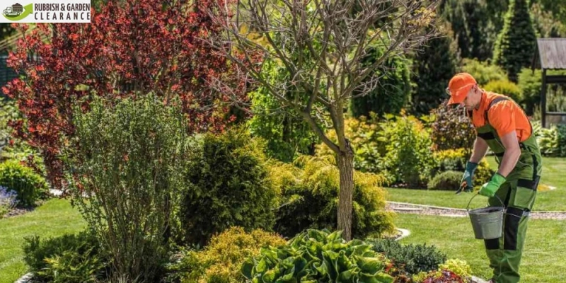 Garden Clearance Merton: Before and After Appearance