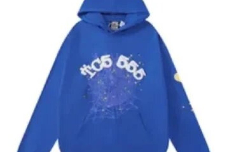 Sp5der Hoodies