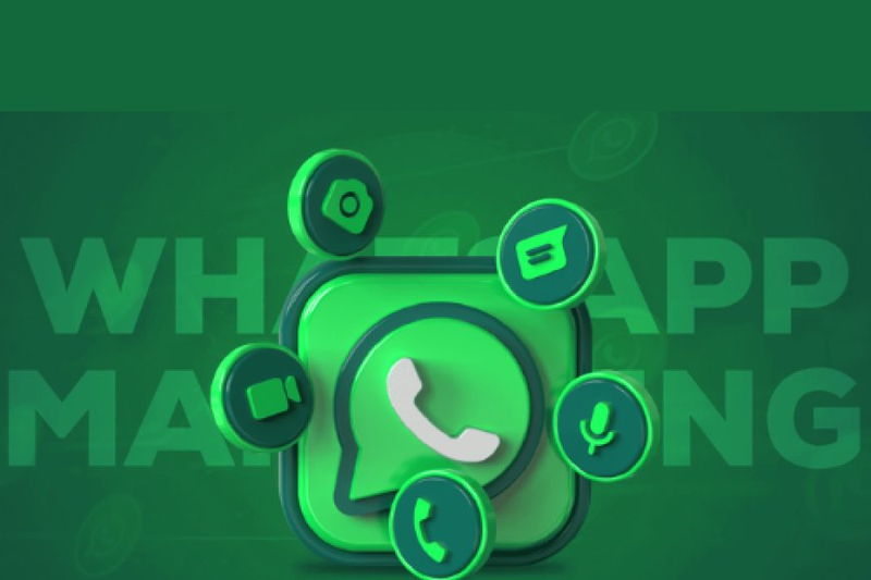 The Ultimate Guide to WhatsApp Business API Integration
