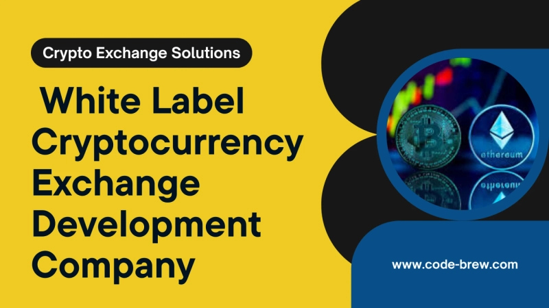 Top White Label Cryptocurrency Exchange Development Company in 2025