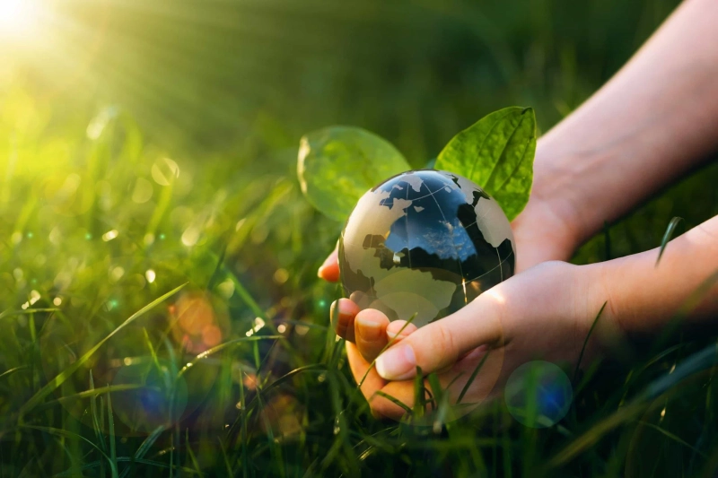 What Are the Latest Technologies Offered by Environmental Companies