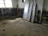 How To Find the Best Mold Remediation Company?