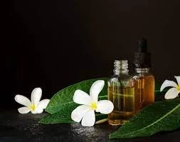 What are Patchouli and its Uses?