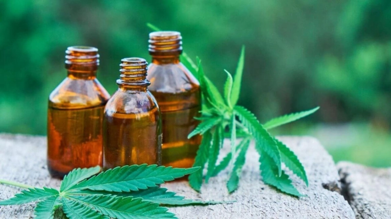 Can Cannabis Help In Weight Loss?