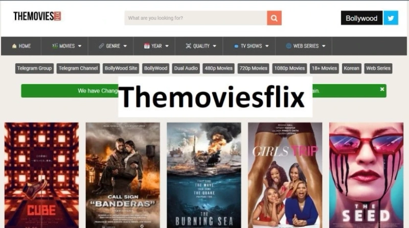 Watch Online and Download Latest Movies on ThemoviesFlix