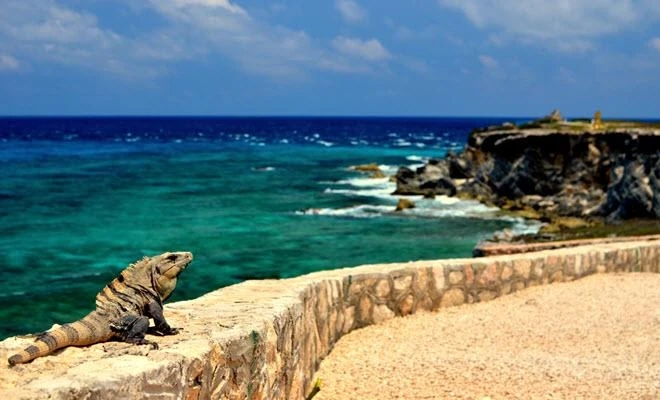 My essentials in Isla Mujeres (Mexico)