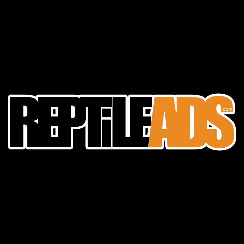 The Rise of Responsible Reptile Keeping: How Online Marketplaces Are Changing the Hobby