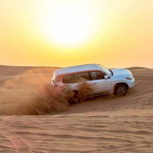 Why should you choose morning desert safari?