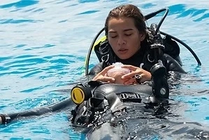 Melbourne Scuba Diving Training a Good Option for Beginners