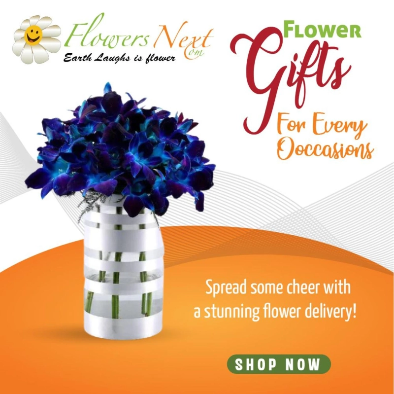 International Blooms: Send Flowers to Germany for Every Occasion