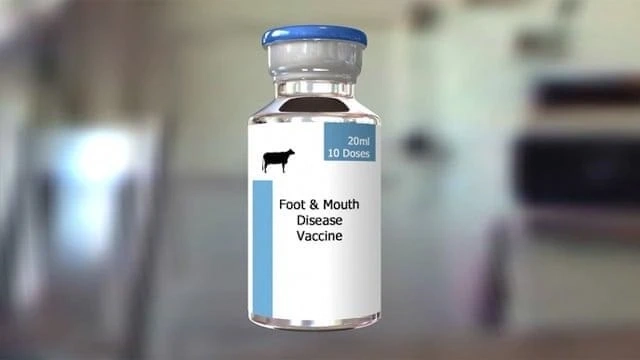 Understanding FMD Vaccine Distribution Networks and Supply Chain By 2022 to 2028