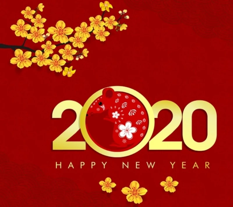 Chi tiết Tử vi về các cung hoàng đạo, 12 con giáp trong năm 2020, 2021