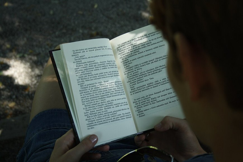 Journeying Through the Digital Frontier: AI Novels