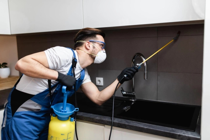 How Can a Formosan Termite Treatment Consultant Strengthen Your Case?