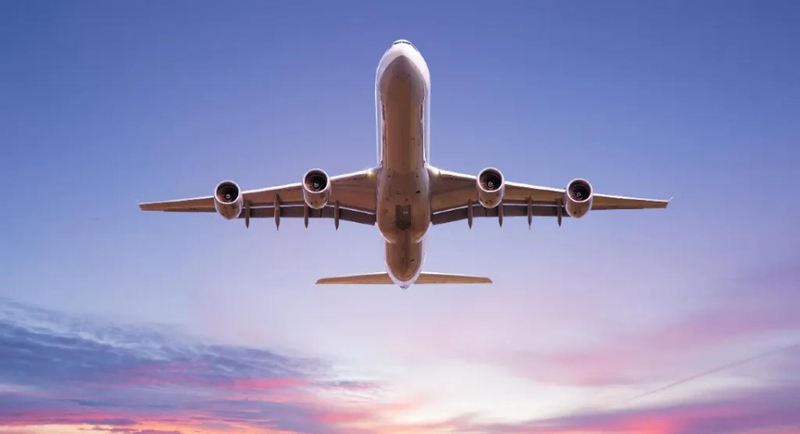 A Full List of United Airlines Customer® Contact Numbers in the USA: An Official Guide