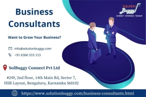 Business Consultants