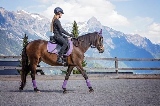 Importance of Horseback Riding Equipment