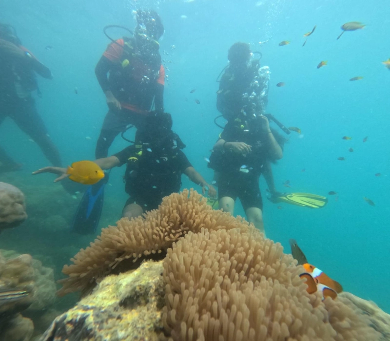 Best Scuba Diving Courses in the Andaman: From Beginner Certification to Advanced Excursions in Havelock