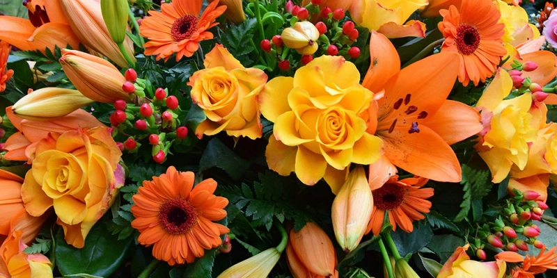6 Most Beautiful Flower In The World