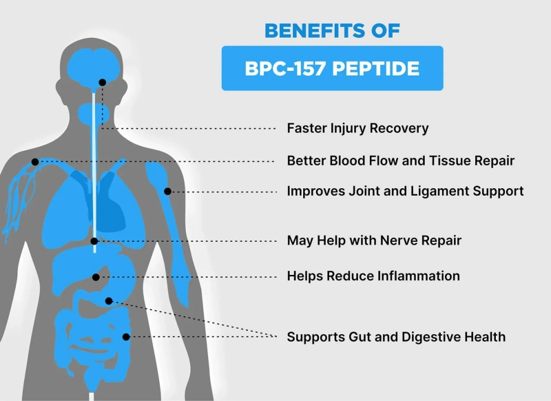 BPC 157: What You Should Know About This Powerful Peptide