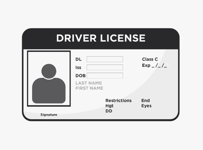 Editable Blank Drivers License Template – Customizable Design