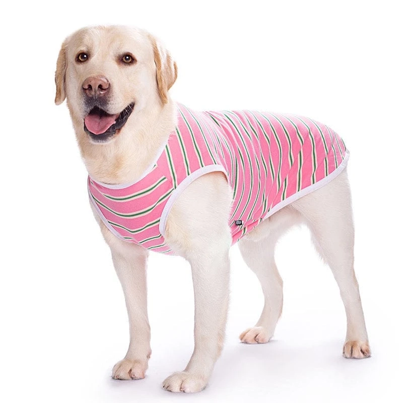 Top 5 Fabrics for Comfortable Large Dog Clothing