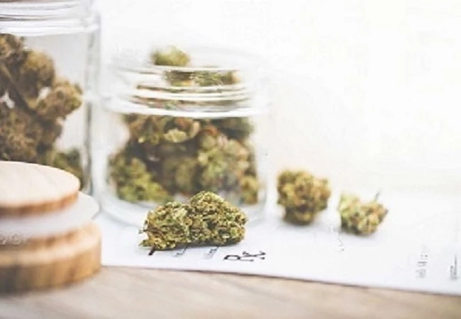 How Online Cannabis Dispensaries Are Changing Cannabis Shopping