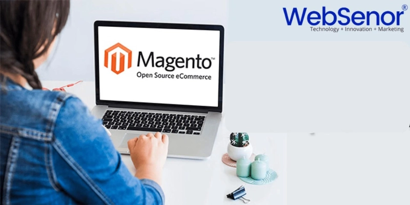 Magento developers in India