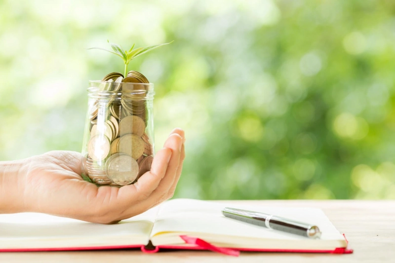 Best Investment Options in India for 2025: Maximize Your Returns