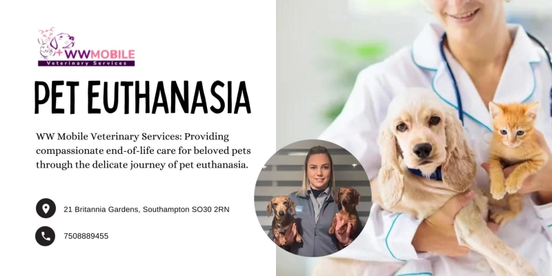 Gentle Goodbyes: The Importance of Pet Euthanasia