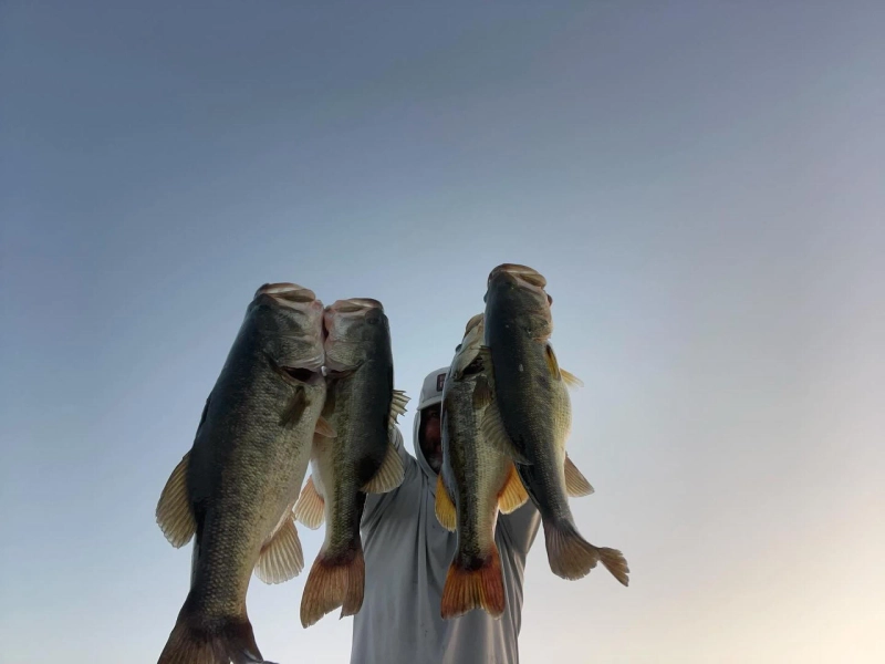 The Benefits of Hiring a Local Captain for Your Fishing Trip