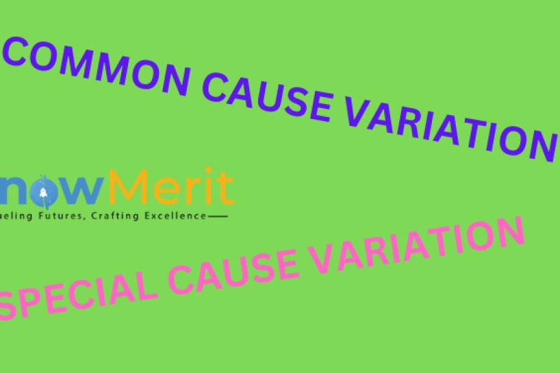 Riding the Waves of Process Variation: Unveiling Common and Special Causes