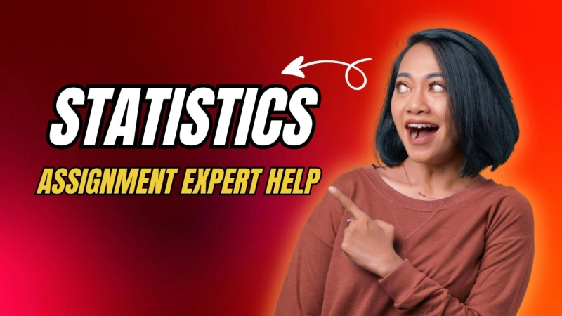 How a Statistics Assignment Writing Service Helped a Student Make Sense of Numbers?