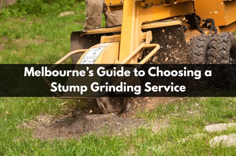 Melbourne’s Guide to Choosing a Stump Grinding Service